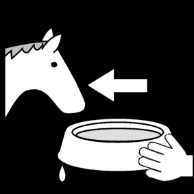 horse: give water